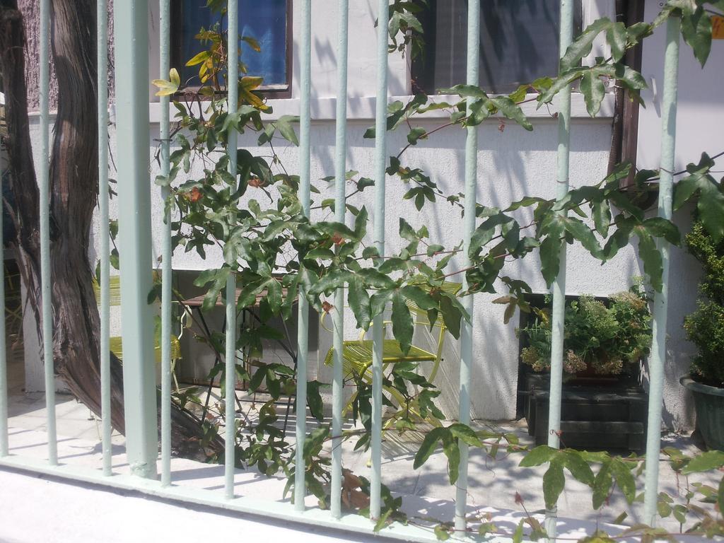 Old House Hostel Burgas Ngoại thất bức ảnh